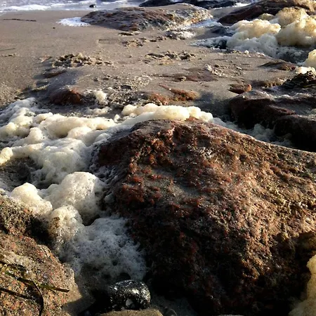 Strandmuschel - [#19710] Ferienhaus