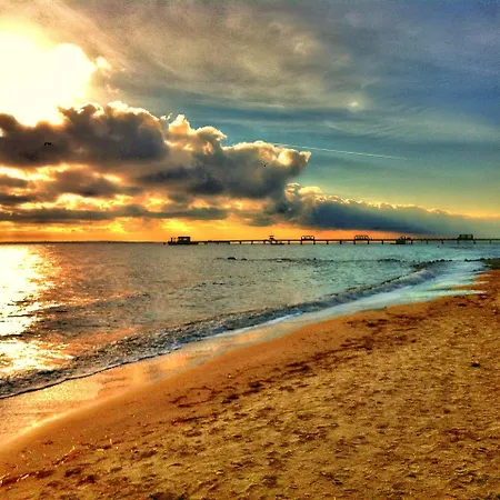 Strandmuschel - [#19710]