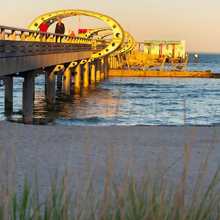 Strandmuschel - [#19710] *