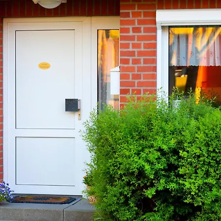 Strandmuschel - [#19710] * Kellenhusen